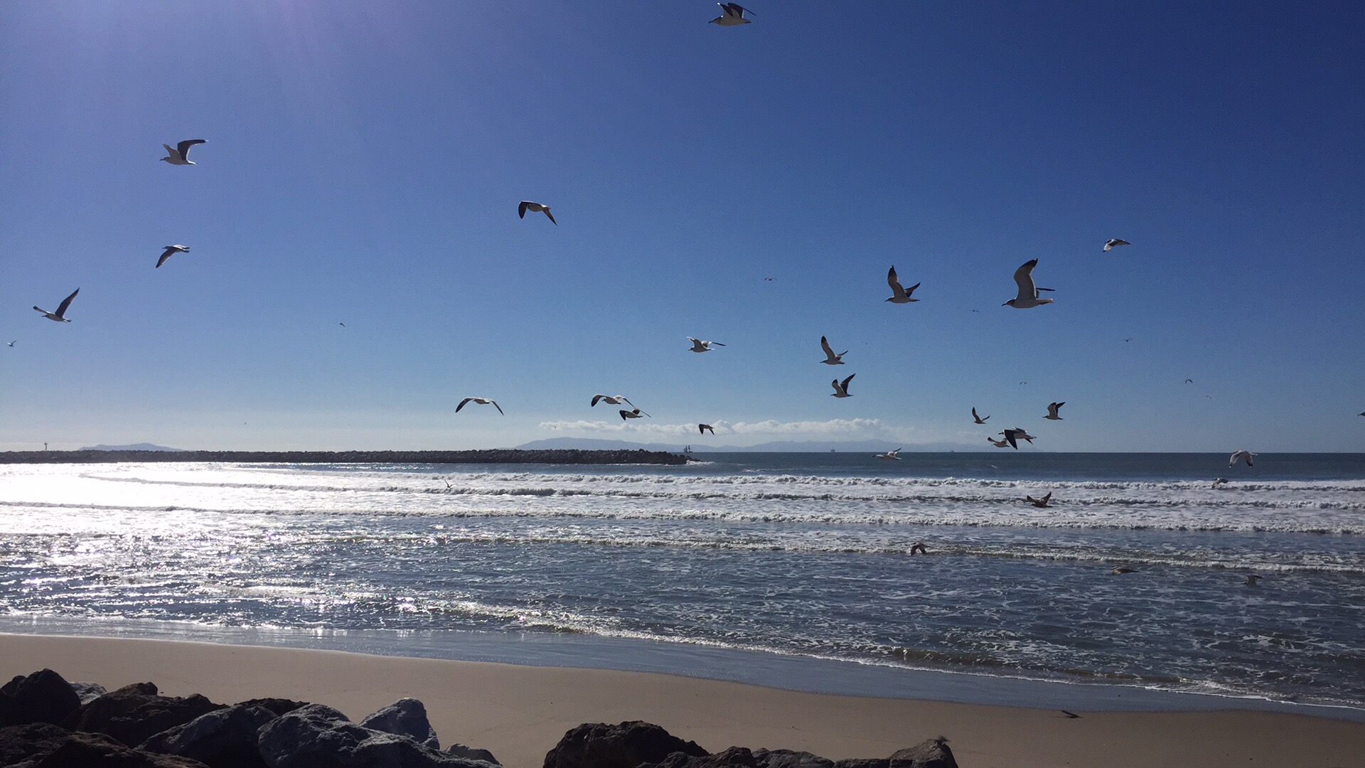 F4B2C959-1043-42E1-8B3B-A4A842C3FAFA